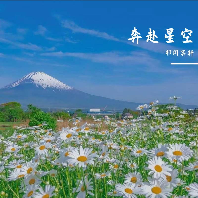 奔赴星空