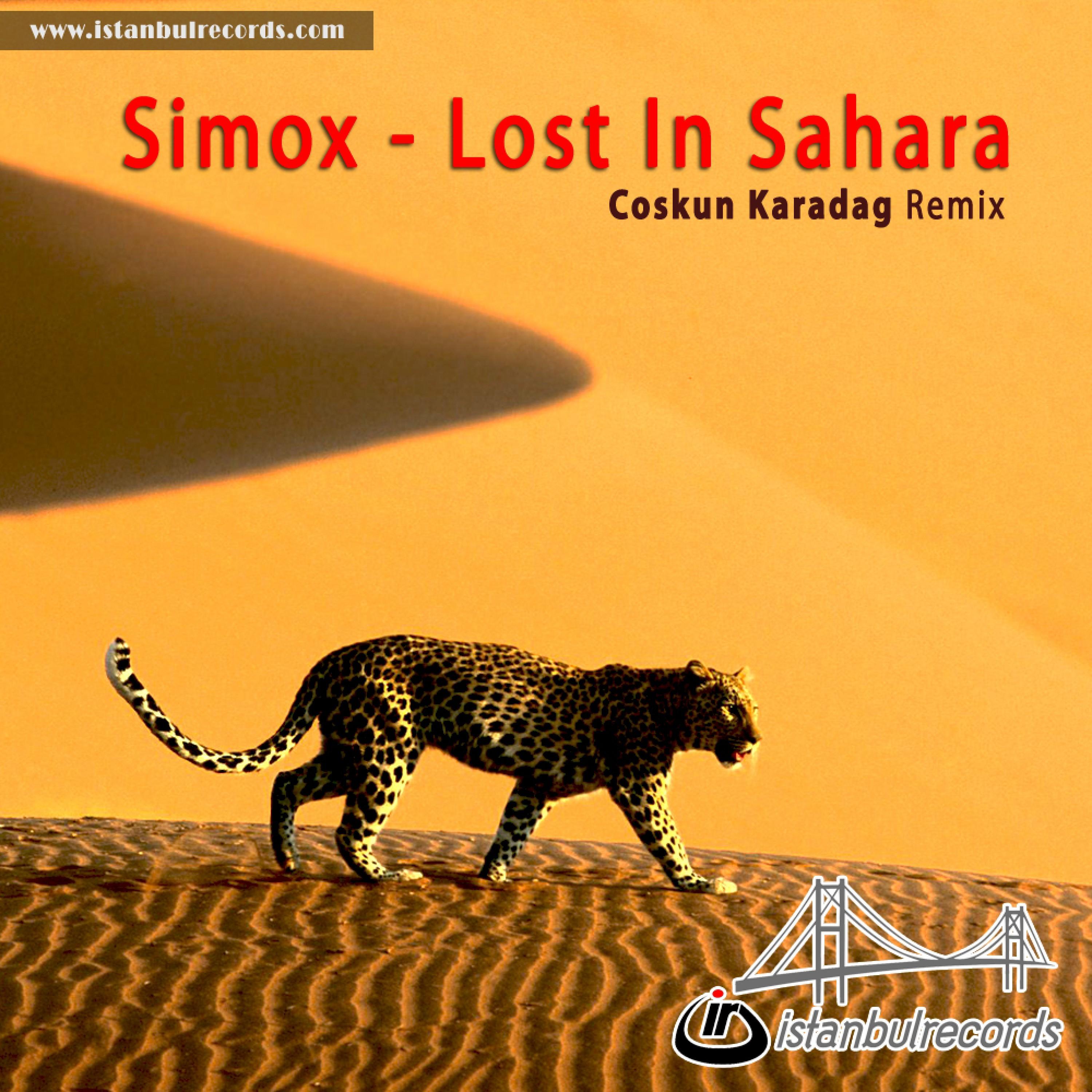 Lost in Sahara