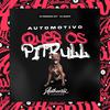 DJ PARAVANI DZ7 - Automotivo Quer os Pitbull