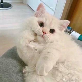 我等的人ta在哪里鸭