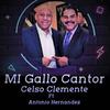 Celso Clemente - Mi Gallo Cantor (feat. Antonio Hernandez)