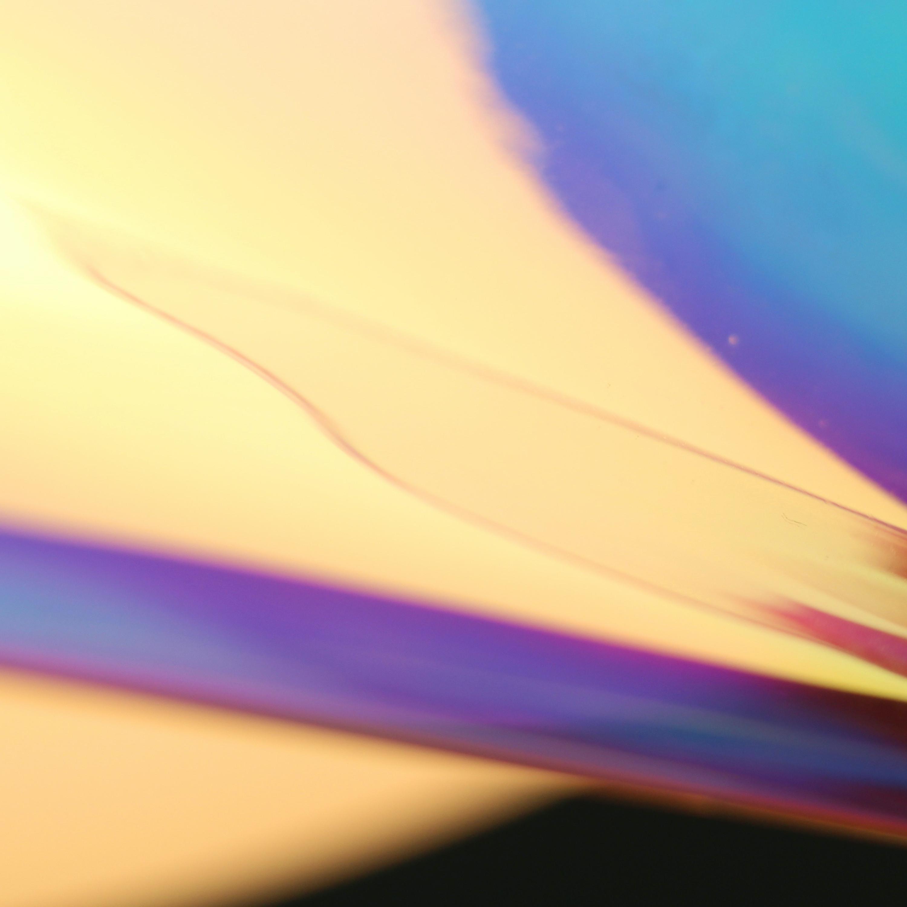 Sunfeelslight