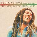 Roots, Rock, Remixed: The Complete Sessions专辑
