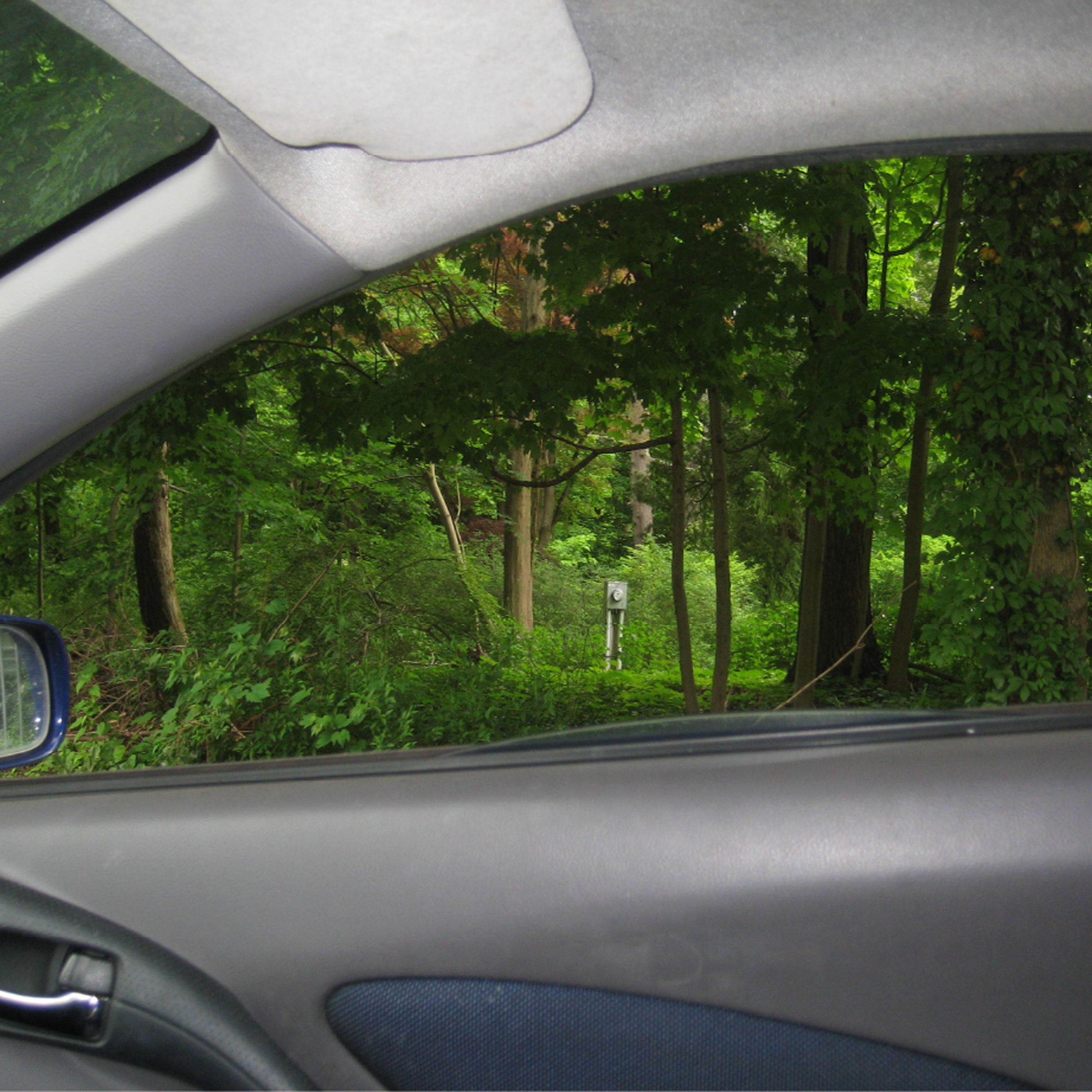 Pitbull (Mixed Matches Remix)