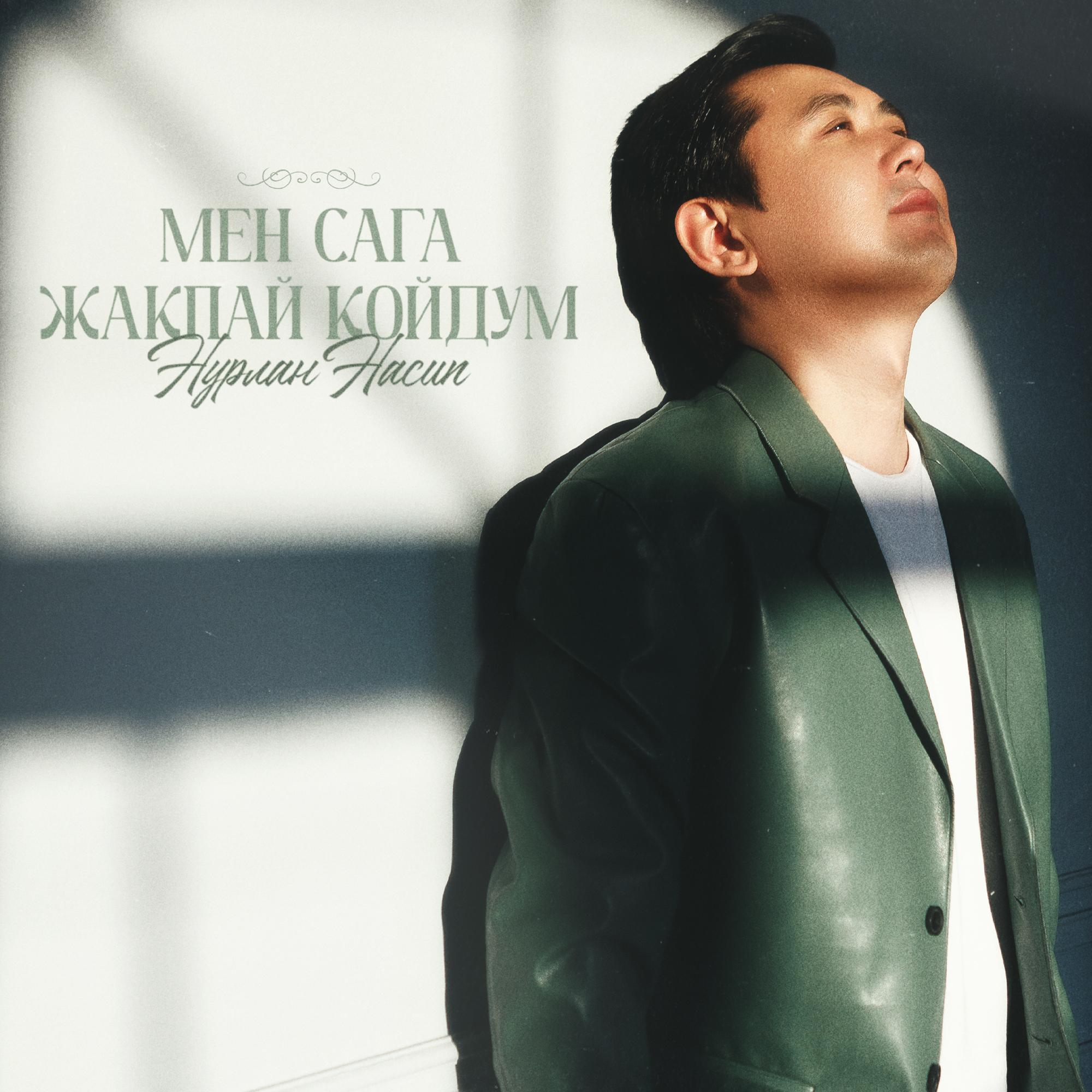 Мен сага жакпай койдум