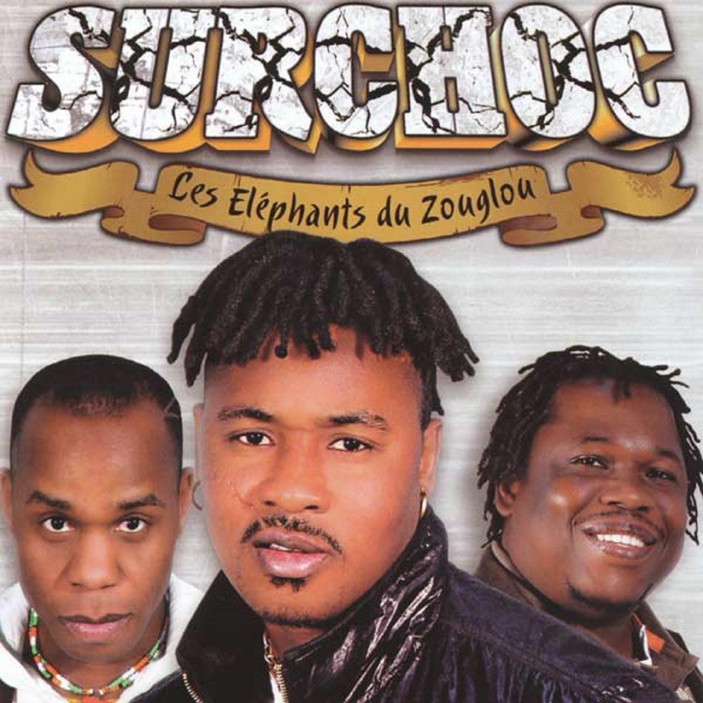 Les éléphants du zouglou