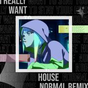 I Really Want to Stay At Your House（N0rM4L remix）