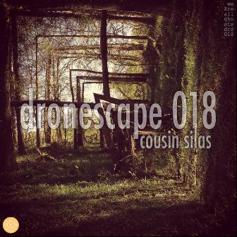 Dronescape 018 (waag_drs018)