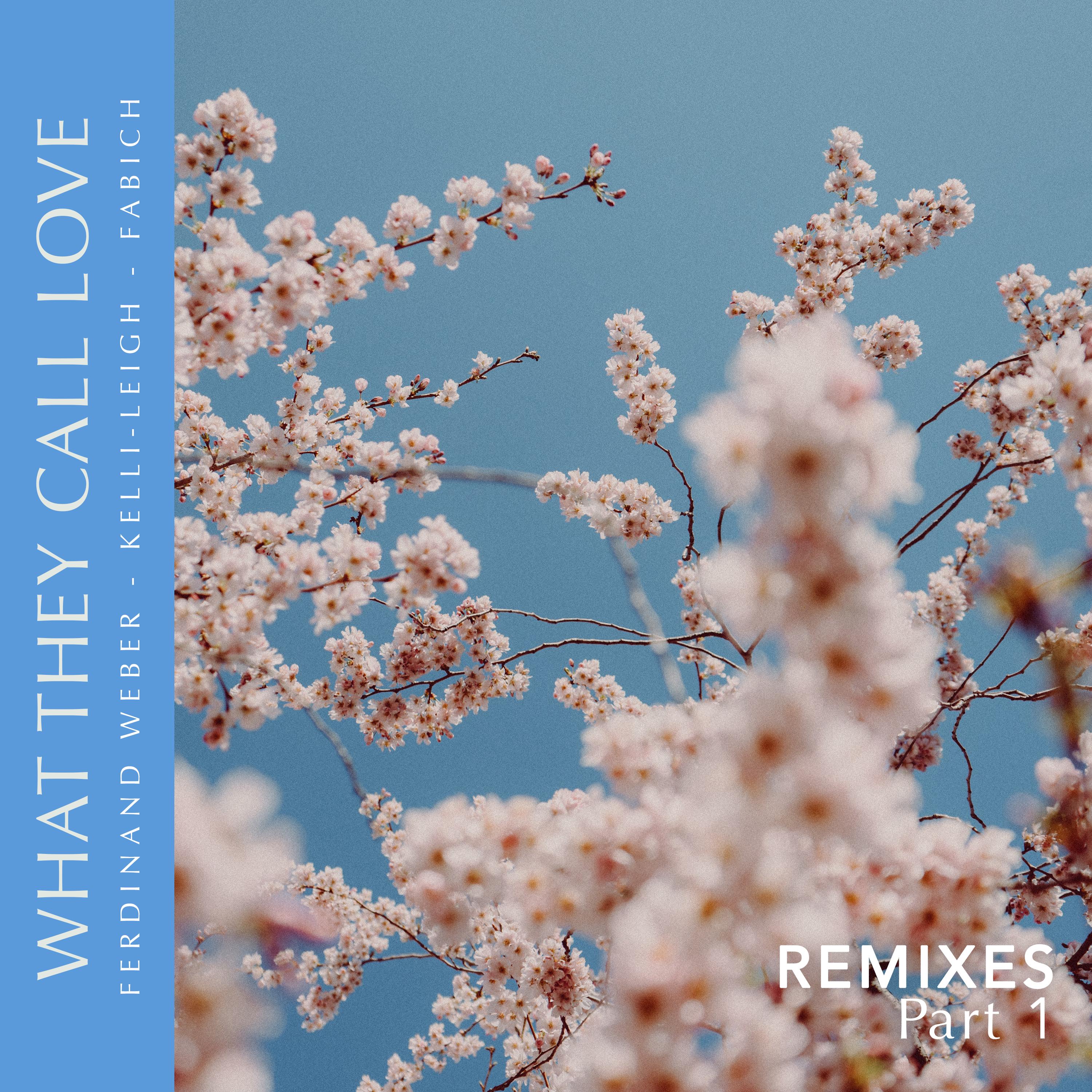 What They Call Love Remixes, Pt.1