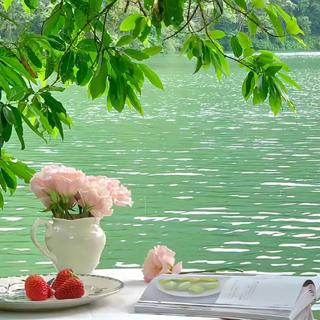 欧美治愈系|温柔英文歌✨