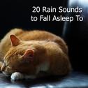 19 Rain Sounds to Fall Asleep To专辑