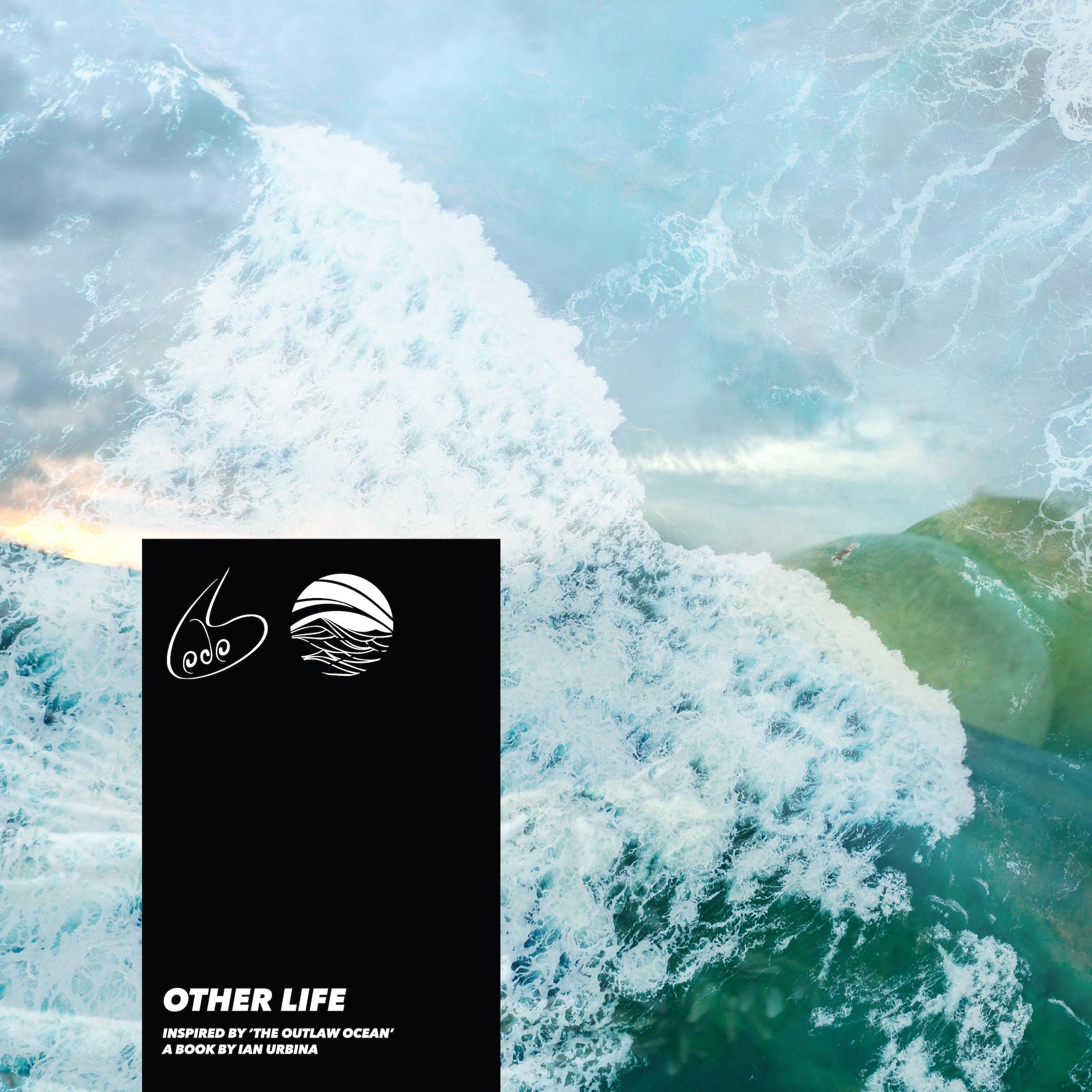 Other Life (Inspired by 'The Outlaw Ocean' a book by Ian Urbina)
