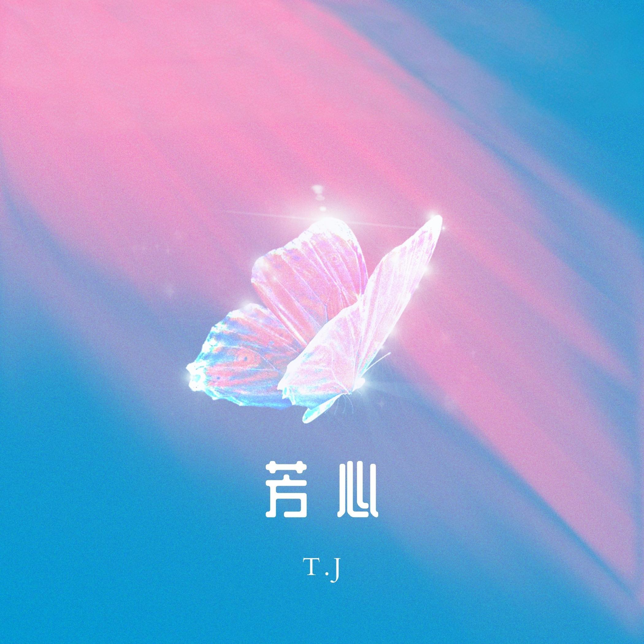 T.J - 芳心 伴奏