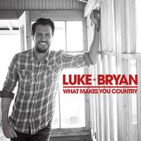 What Makes You Country - Luke Bryan (karaoke)