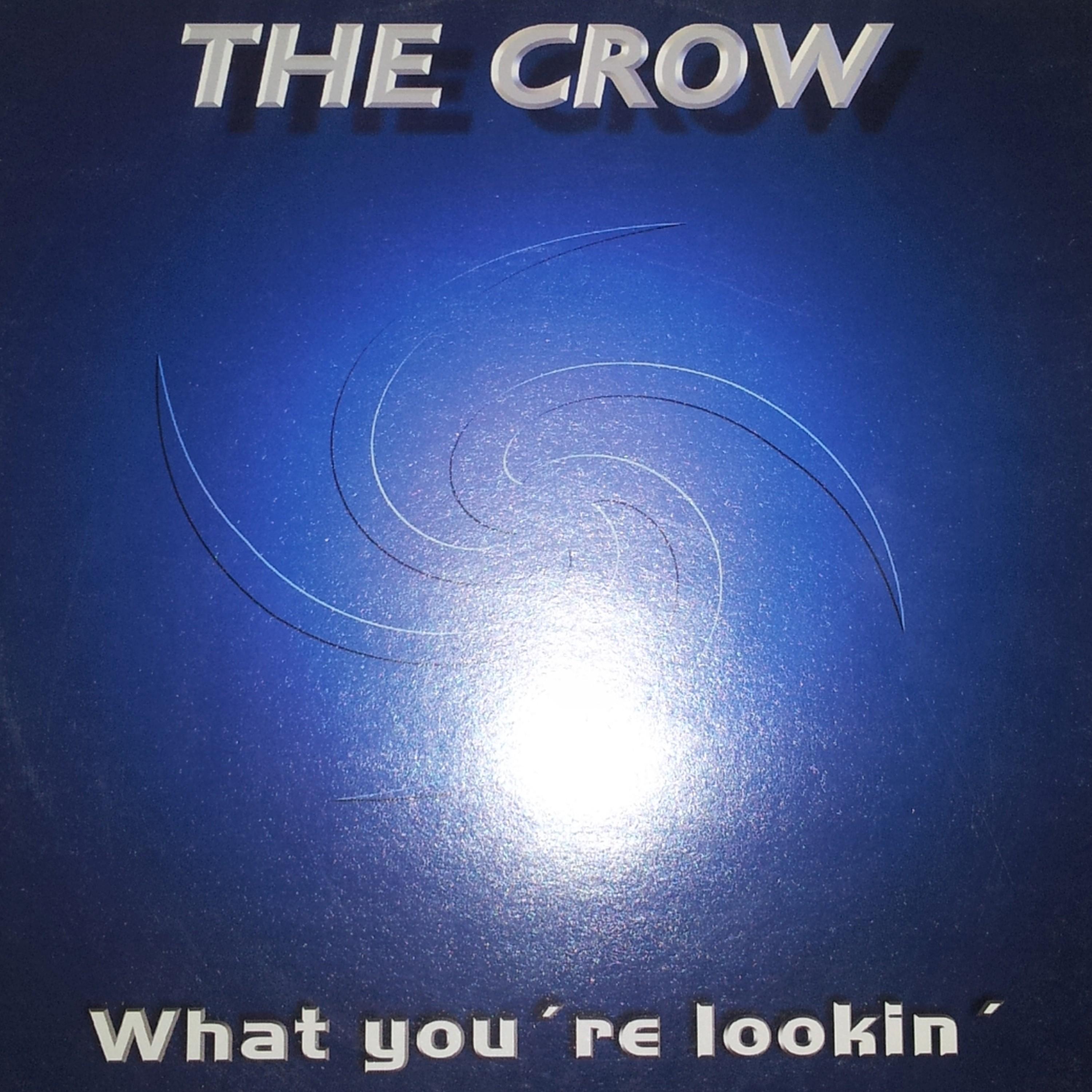 What You're Looking?