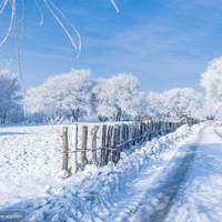 这里的冬天看不见雪（伴奏）