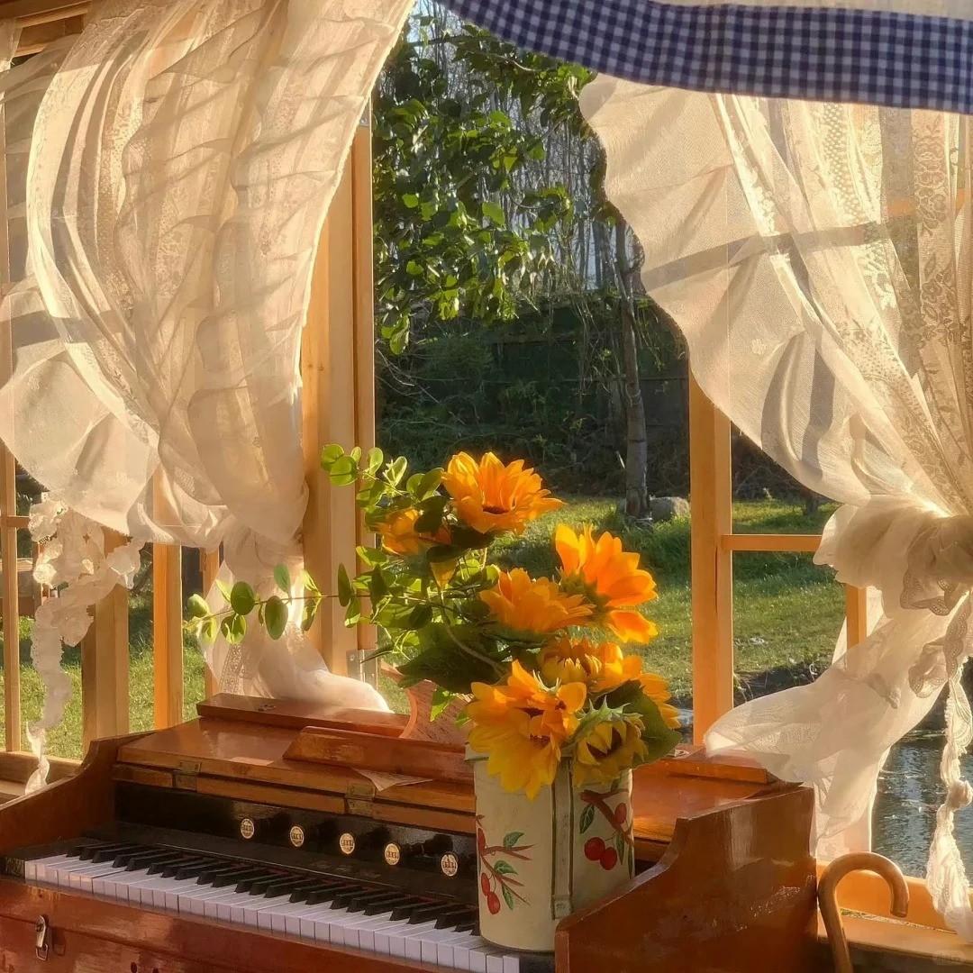 别让爱凋落 卢润泽