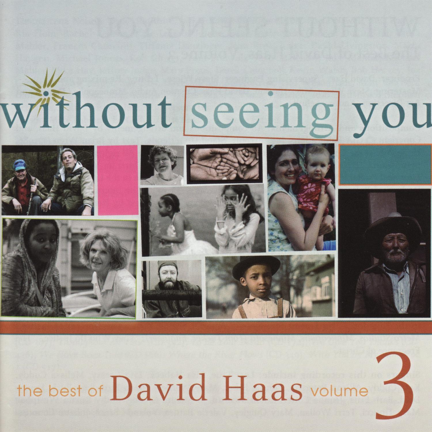 Without Seeing You: The Best of David Haas, Vol. 3