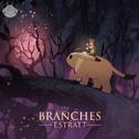 Branches专辑