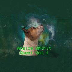 Analog Spirit Quest, Vol. 1