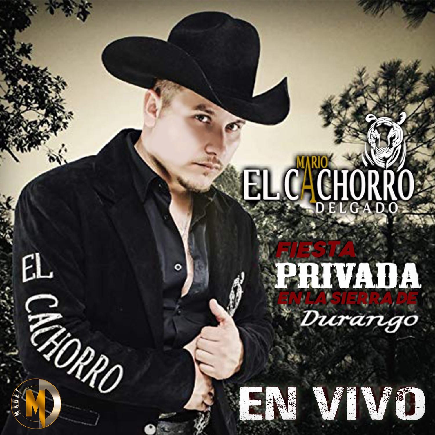 vip单曲 歌手:mario "el cachorro" delgado 所属专辑:fiesta privada