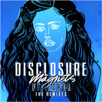 Magnets - Disclosure & Lorde (Z karaoke) 带和声伴奏