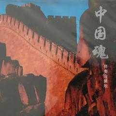 中国魂 (伴奏合辑版)