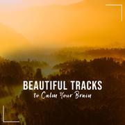 17 Mind Enhancing Tracks to Calm the Mind