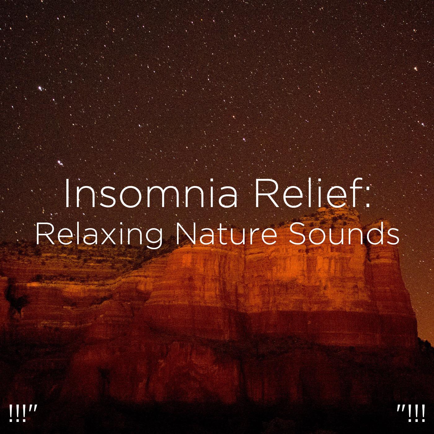 !!!" Insomnia Relief: Relaxing Nature Sounds "!!!