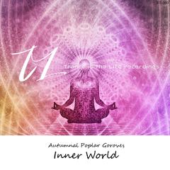 Inner World (Original Mix)