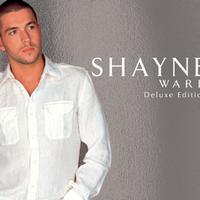 Shayne Ward - A Million Love Songs ( Karaoke )