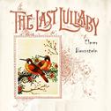 The Last Lullaby专辑