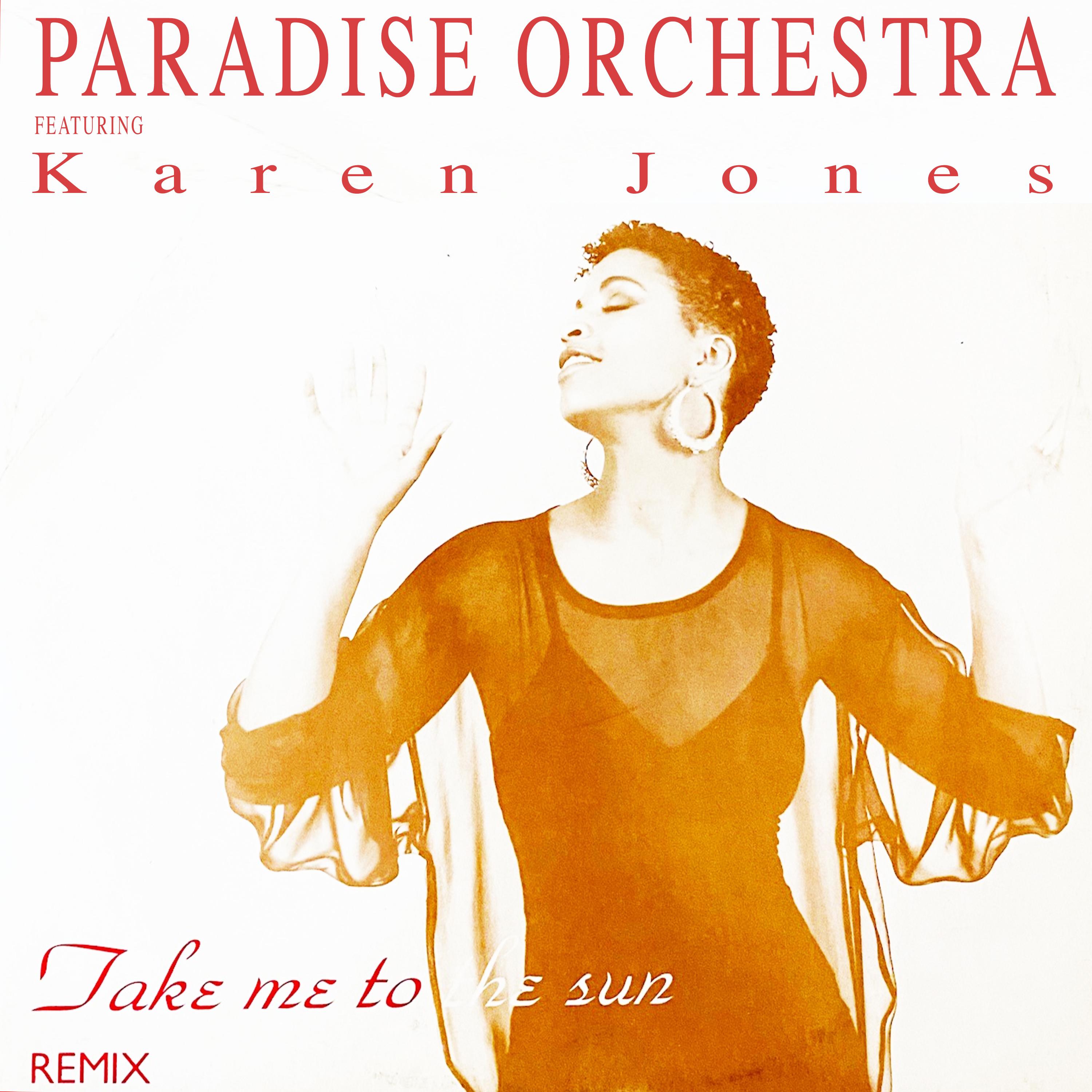 Take Me to the Sun (Remix)