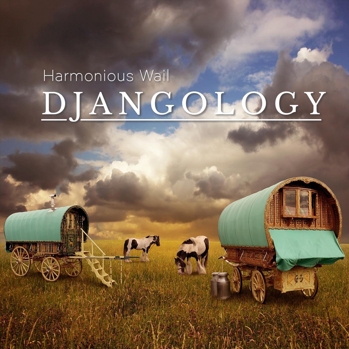 Djangology