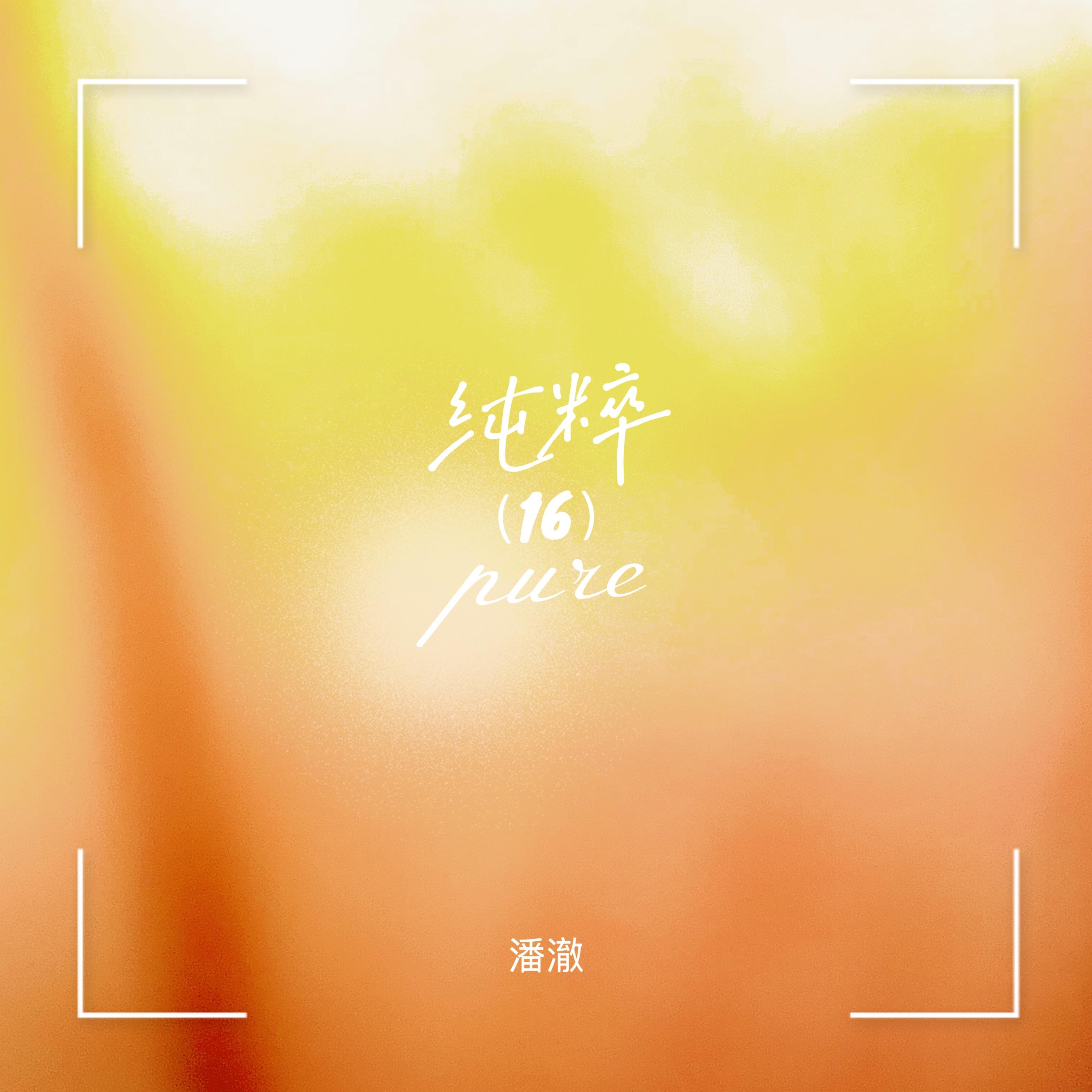 纯粹