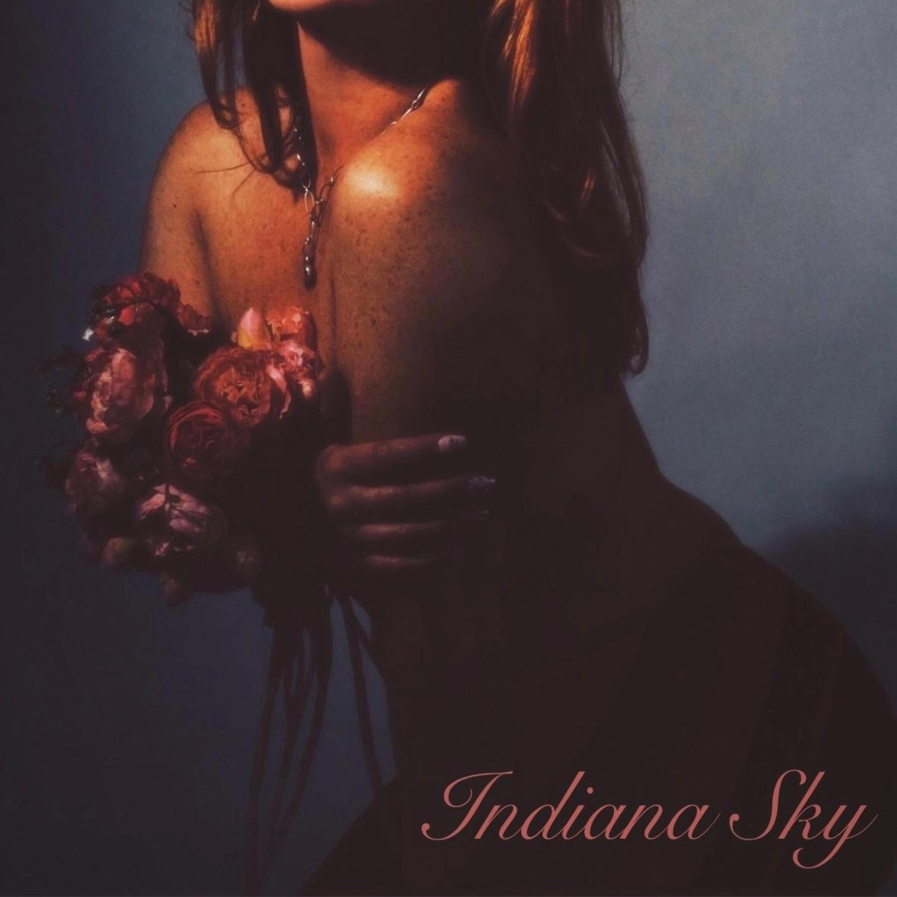 Indiana Sky