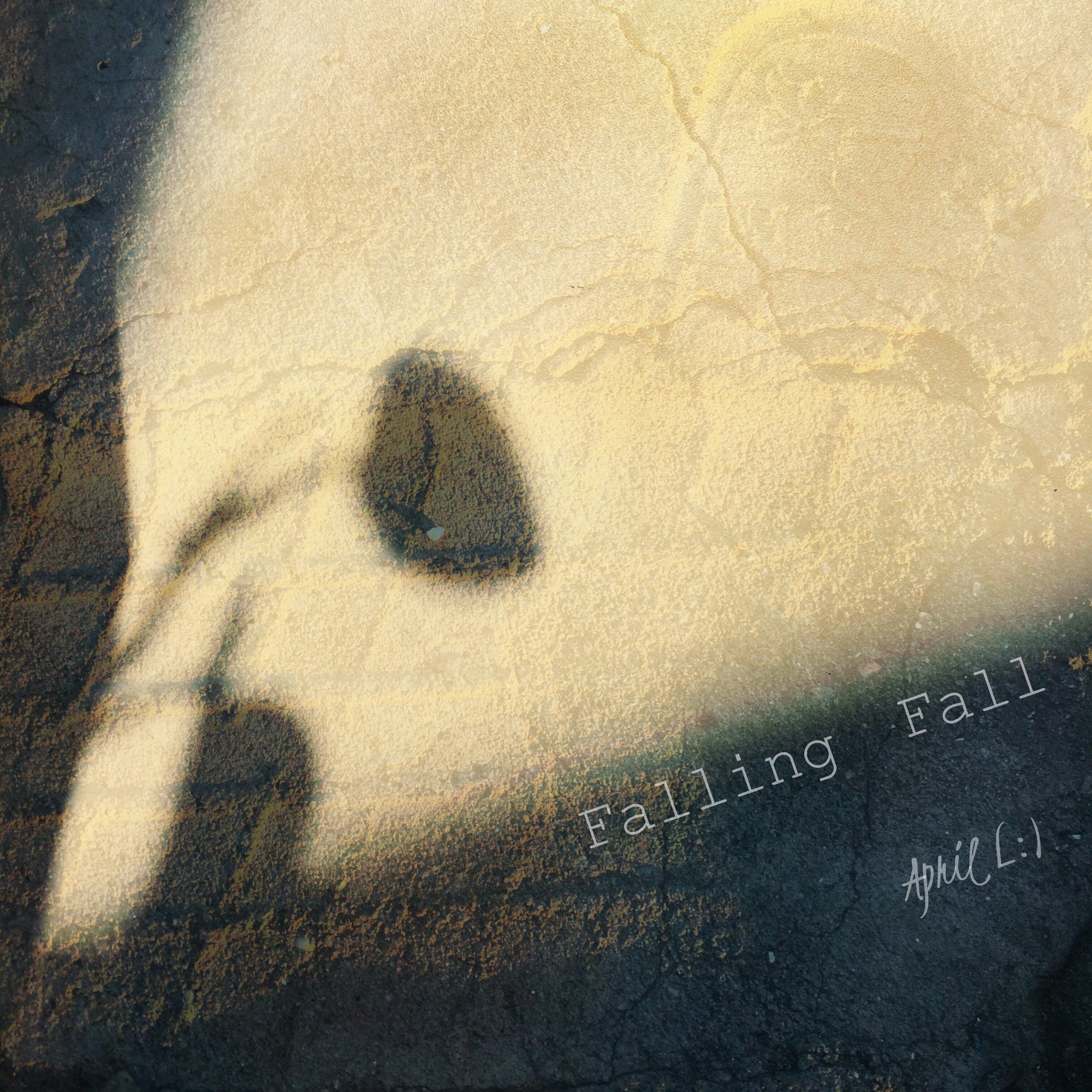 Falling Fall专辑