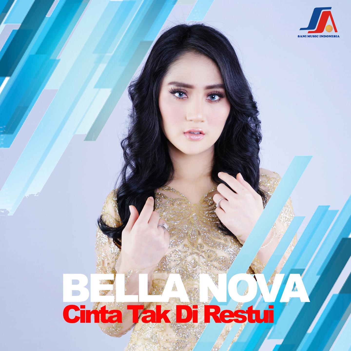 Cinta Tak Direstui