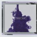 Transviolet专辑
