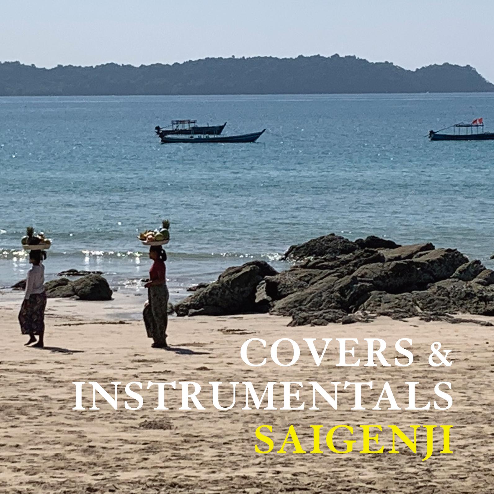 COVERS & INSTRUMENTALS