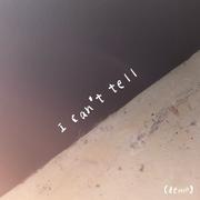 I can’t tell (demo)