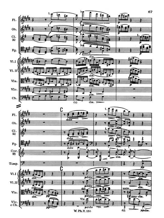 曲谱旋律线_雨中旋律曲谱