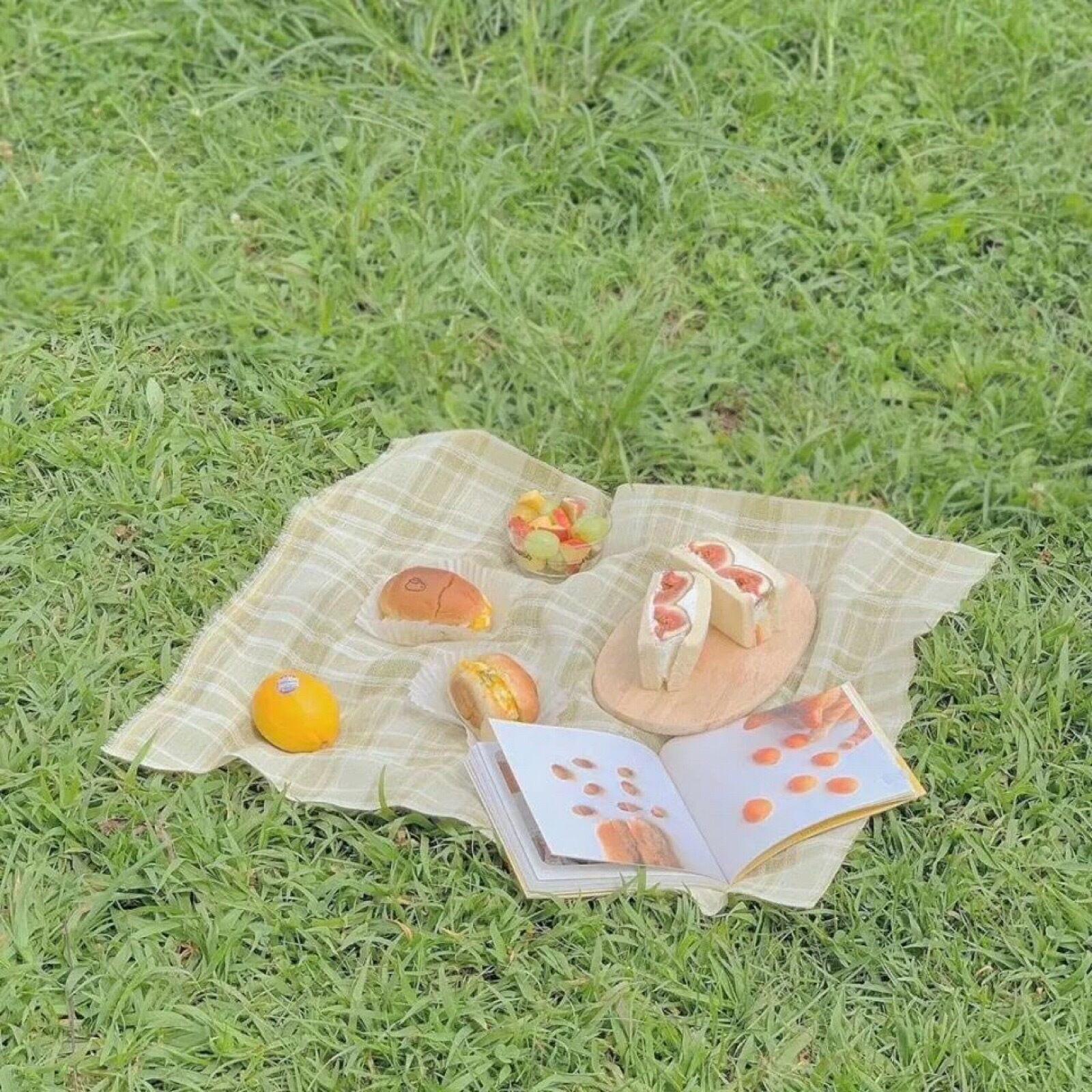 回到夏天