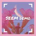 SEEM(demo)