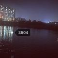 3504
