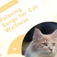 Calming Music for Cats