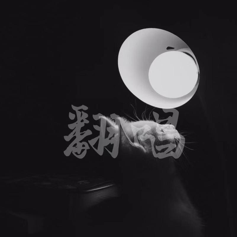 虎口脱险（Cover 老狼）