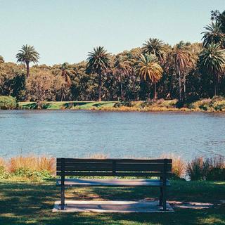 谛 听 自 然丨栖 居 于 瓦 尔 登 湖