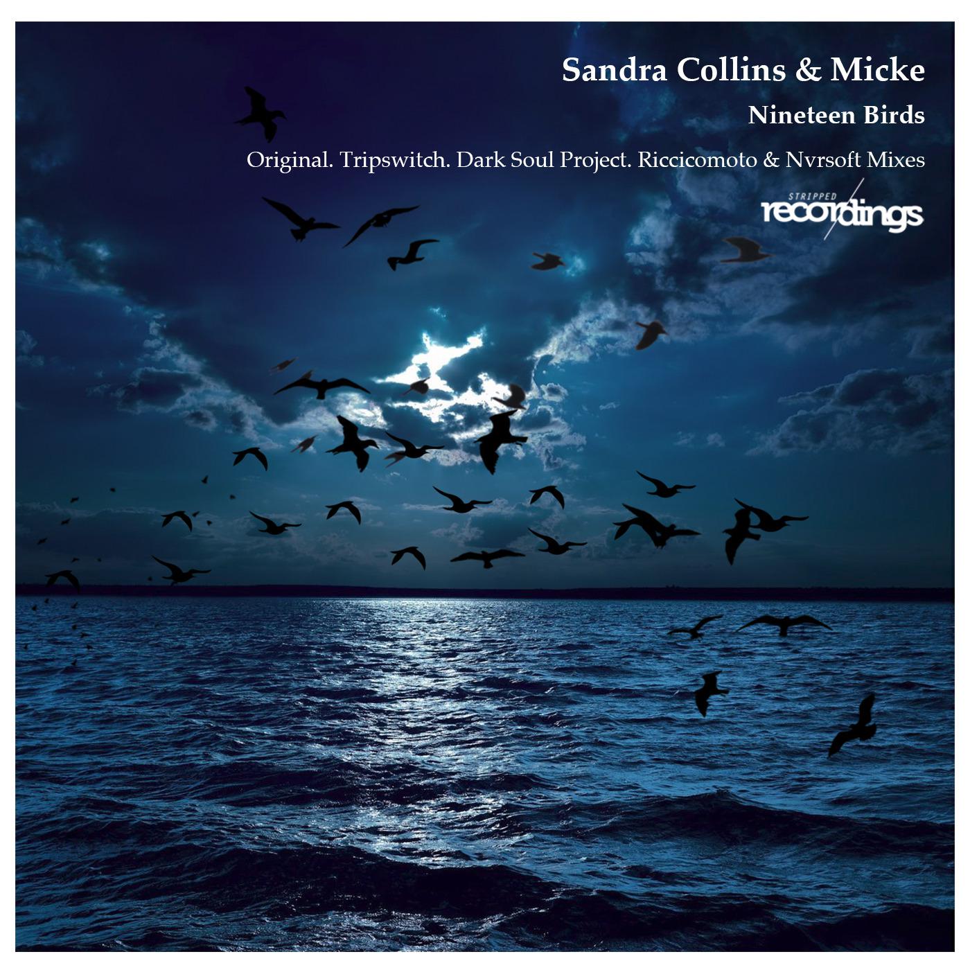 Micke - Nineteen Birds (Original Dub Edition)