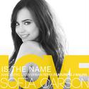 Love Is the Name (Nando Pro Latin Urban Remix)专辑
